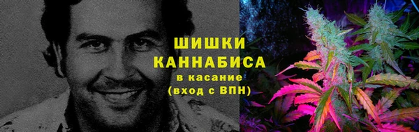 амф Абаза
