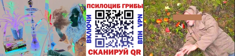 хочу наркоту  Дербент  ОМГ ОМГ зеркало  Псилоцибиновые грибы мицелий 